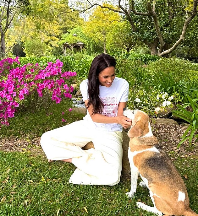 Princ Harry a Meghan Markle zbouj beagly