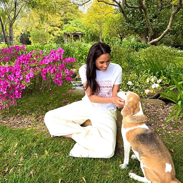Princ Harry a Meghan Markle zbouj bgly