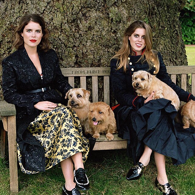 Princezny Eugenie a Beatrice vyrstaly s norfolk teriry