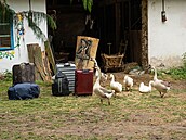Farma �esko