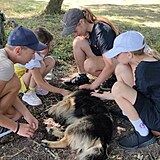 Dti eskch krajan z vlkou zasaen Ukrajiny letos opt dorazily na letn tbor u Podbrad