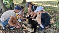Dti eských krajan z válkou zasaené Ukrajiny letos opt dorazily na letní...