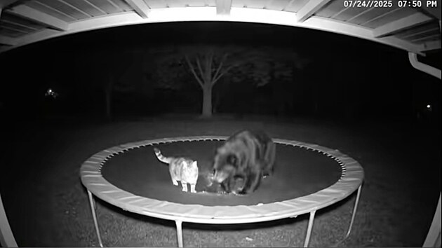 AI video zv��at na trampol�n�