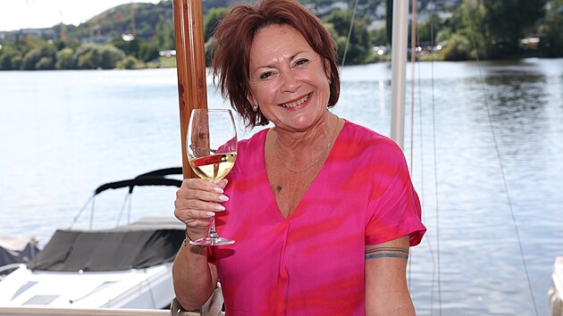 Párty seriálu Ulice