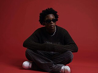 Americk� zp�v�k a skladatel d4vd