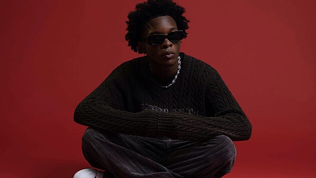 Americk� zp�v�k a skladatel d4vd