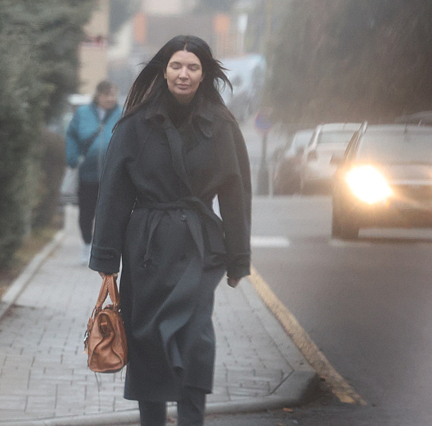 Mareš strávil další noc u Hezuckého, současnou situaci nazval setrvalým stavem