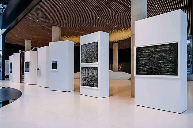 Broken Flowers: V�stava, kter� rozb�j� hranice reality, technologie i pam�ti.