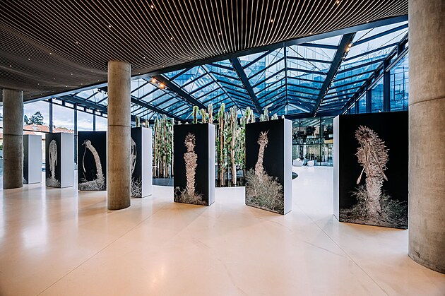 Broken Flowers: V�stava, kter� rozb�j� hranice reality, technologie i pam�ti.