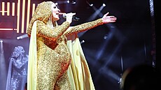 Olga Lounová na koncert� v O2 Universu