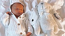 Michaela Ochotská porodila hol�i�ku Arien