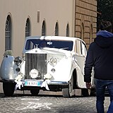 Conor McGregor se o�enil!