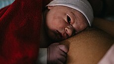 Barbora Mottlová porodila syna Kornelia