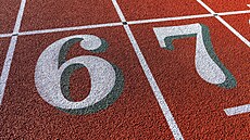 Slovem roku 2025 je six-seven.