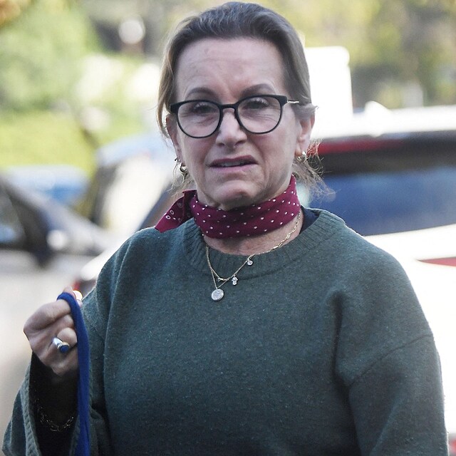 Gabrielle Carteris