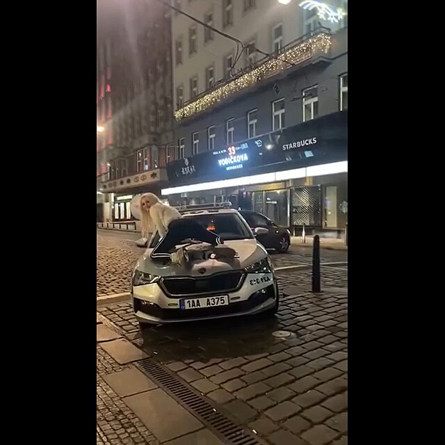 Tade� Kub�nka, Karol�na Kavalov�