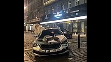 Tadeá� Kub�nka, Karolína Kavalová