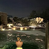 Ta��na Kucha�ov� si u��v� mrazy po sv�m.