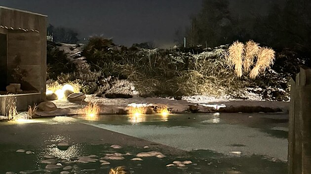 Ta��na Kucha�ov� si u��v� mrazy po sv�m.