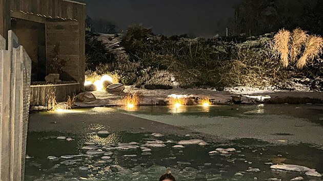 Ta��na Kucha�ov� si u��v� mrazy po sv�m.