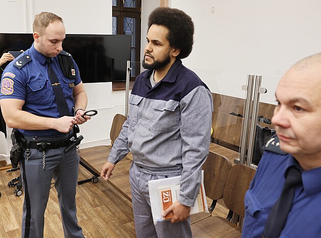 Dominik Feri u soudu