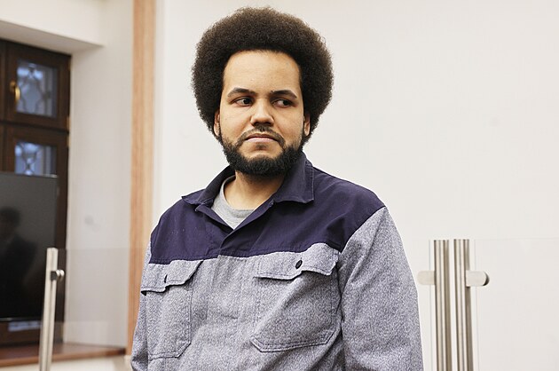 Dominik Feri u soudu