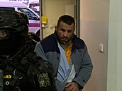 Do budovy mí�í v doprovodu p�íslu�ník� v�ze�ské slu�by.