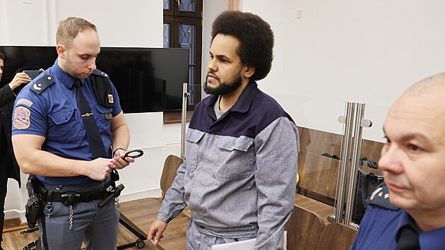 Dominik Feri u soudu