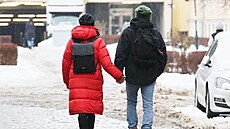 Tady u� není co �e�it: dr�ení za ruce mluví za v�echno.