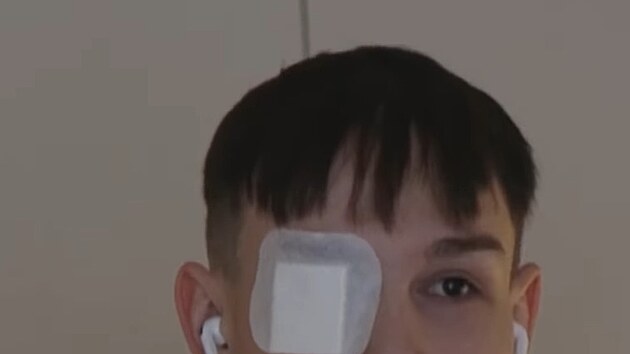 Tade� Kub�nka v Prost�enu