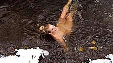 Anna Kulovaná holduje otu�ování a plavky p�íli� nenosí