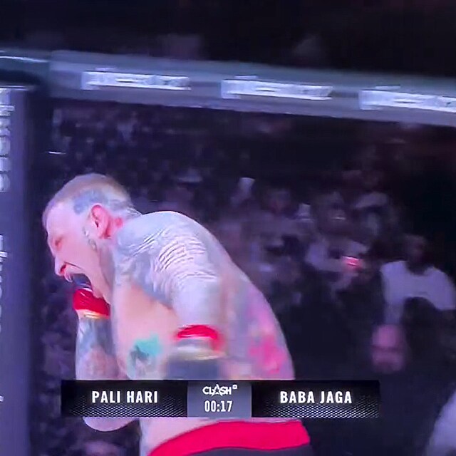 Slovensk� raper Pali Hari ukousl V�clavu Mikul�kovi kus ucha.