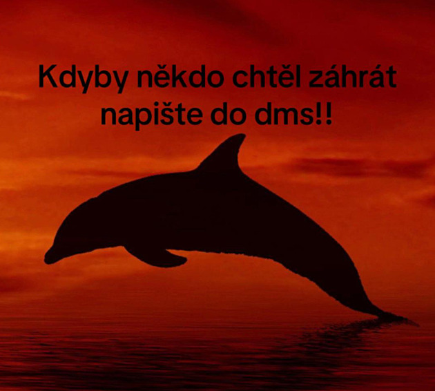 Z trendu na TikToku do nemocnice. Proč Červený delfín vyvolává paniku mezi dětmi?