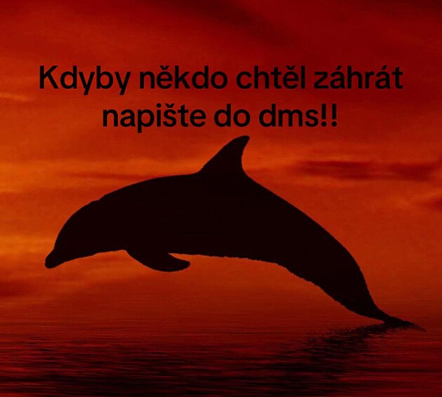 Z �erven�ho delf�na se stal nov� nebezpe�n� trend