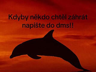 Z �erven�ho delf�na se stal nov� nebezpe�n� trend