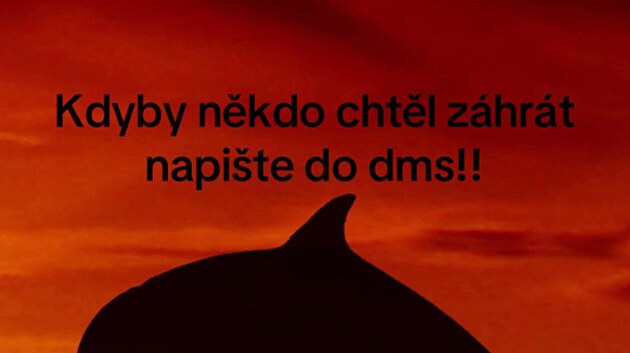 Z �erven�ho delf�na se stal nov� nebezpe�n� trend