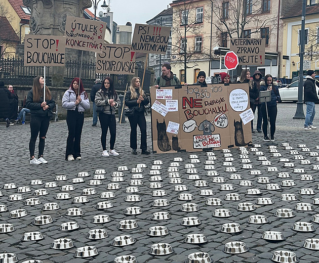 Na demonstraci proti psímu útulku Bouchalka dorazily davy! Vyzpovídali jsme bývalého zaměstnance