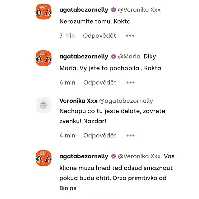 Josef Kokta v diskusi reagoval na kritick� koment��e div�k� a n�kter�m u�ivatel�m dokonce nazna�oval, �e jejich p��sp�vky m��e smazat.
