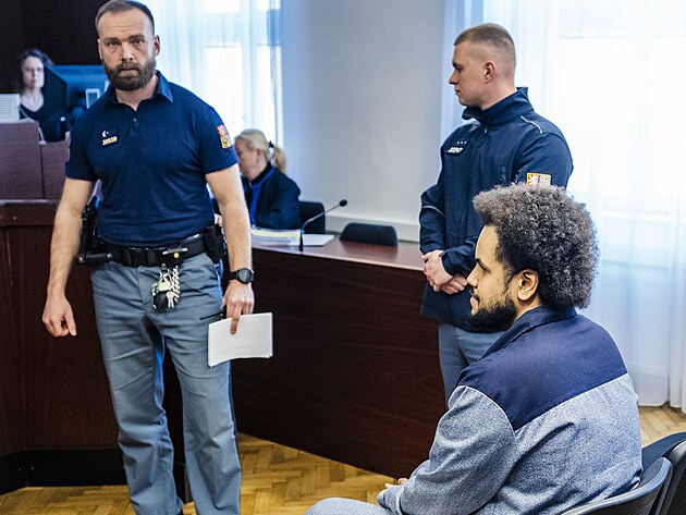 Dominik Feri u soudu