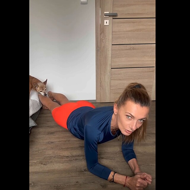 Alice Bendov� d�l� plank.
