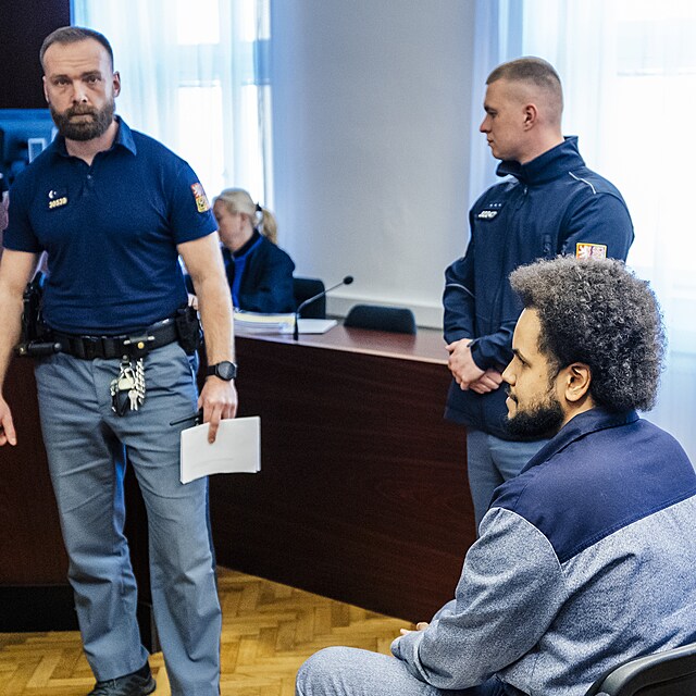 Dominik Feri u soudu