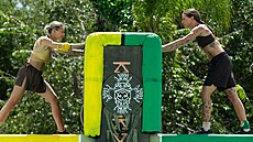 Survivor 2026
