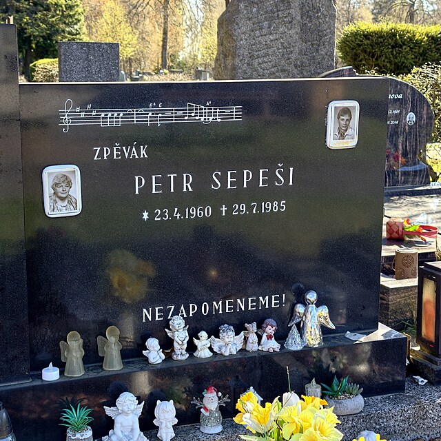 Petr Sepe�i, hrob