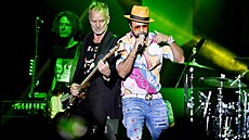 Sting