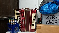 Ond�ej Kubina, bydlení, detail, harmonika