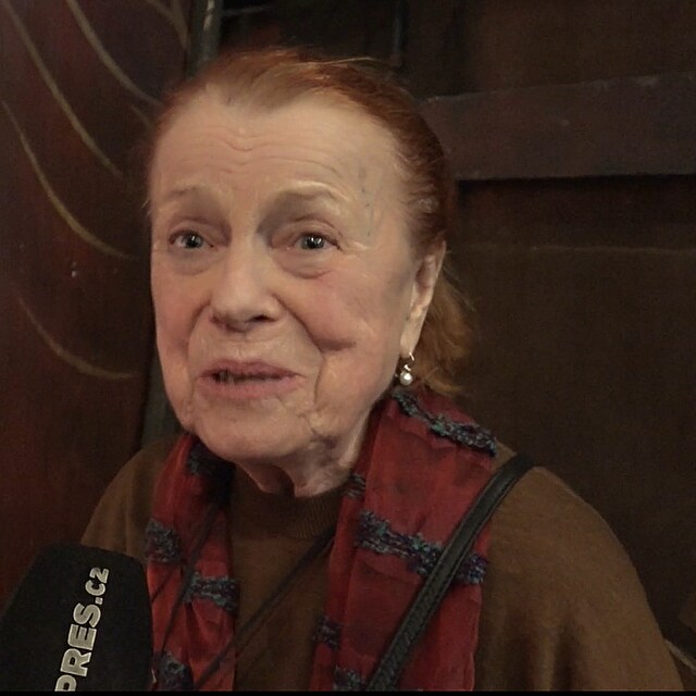 Iva Jan�urov�