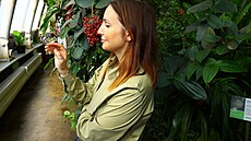 Veronika Arichteva, botanická zahrada