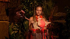 Survivor 2026