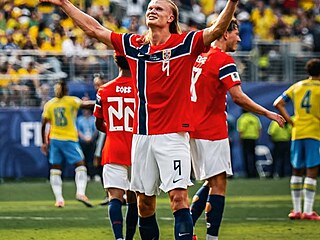 Erling Haaland