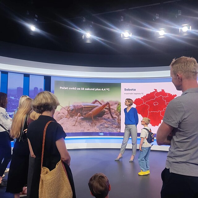 Dagmar Honsov� p�i pr�ci ve studiu